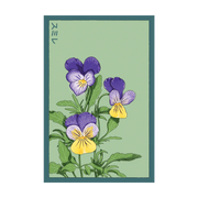 Shido Seeds Pansy Flower Seed Packet