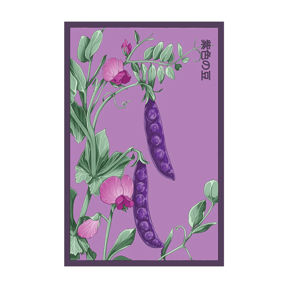 Shido Seeds Purple Peas Flower Seed Packet
