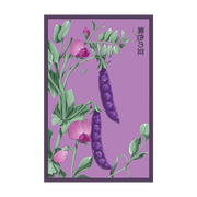 Shido Seeds Purple Peas Flower Seed Packet
