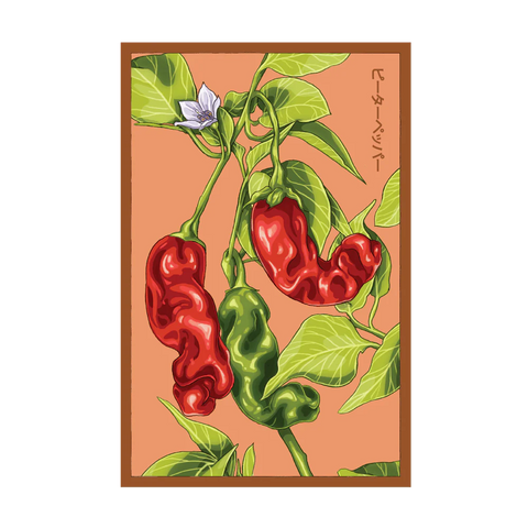 Shido Seeds Peter Pepper Vegetable Seeds Packet