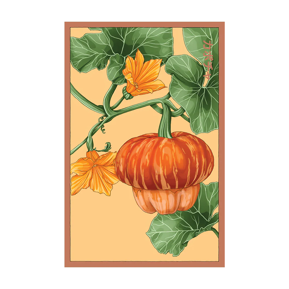 Shido Seeds Pumpkin Squash Flower Seeds