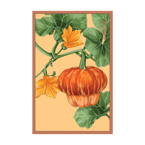 Shido Seeds Pumpkin Squash Flower Seeds
