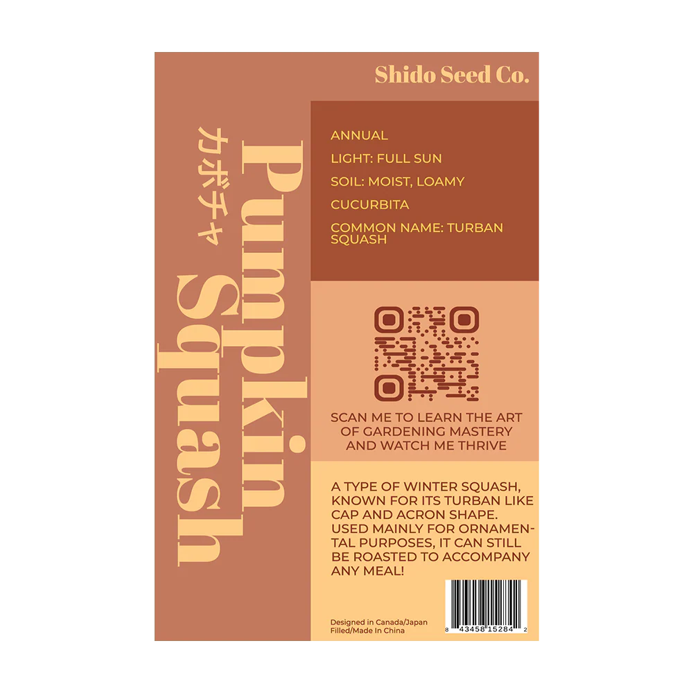 Shido Seeds Pumpkin Squash Flower Seeds