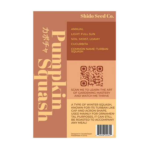 Shido Seeds Pumpkin Squash Flower Seeds