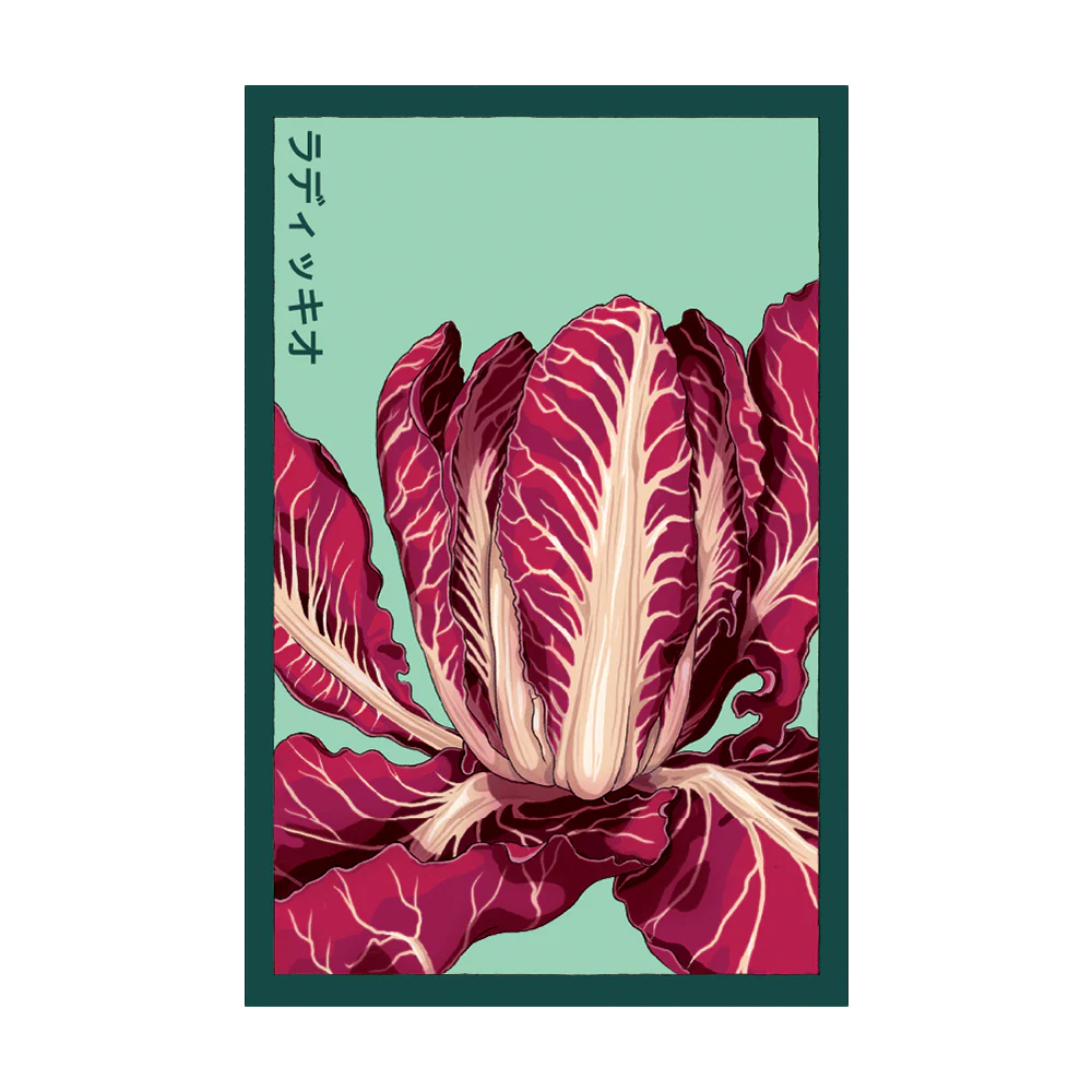 Shido Seeds Radicchio Vegetable Seeds Packet