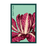 Shido Seeds Radicchio Vegetable Seeds Packet
