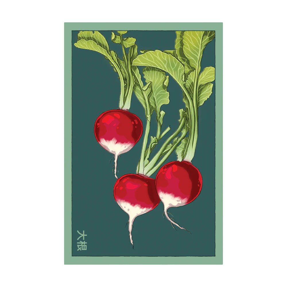 Shido Seeds Radish Vegetable Seeds