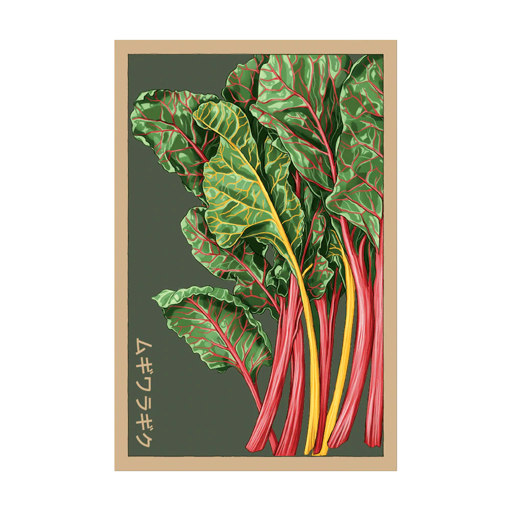 Shido Seeds Rainbow Chard Vegetable Herb Garden Packet