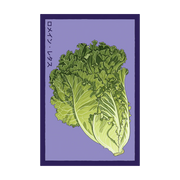 Shido Seeds Romaine Lettuce Vegetable Seeds Packet
