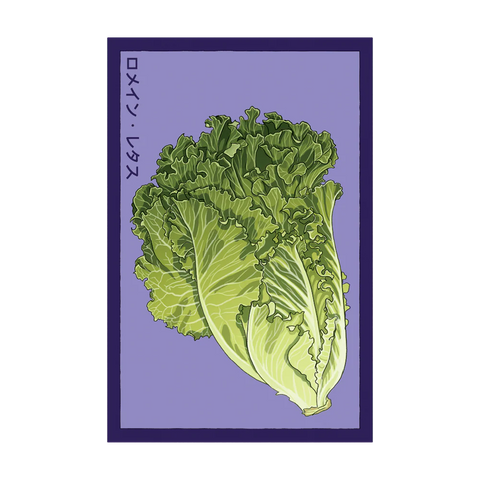 Shido Seeds Romaine Lettuce Vegetable Seeds Packet