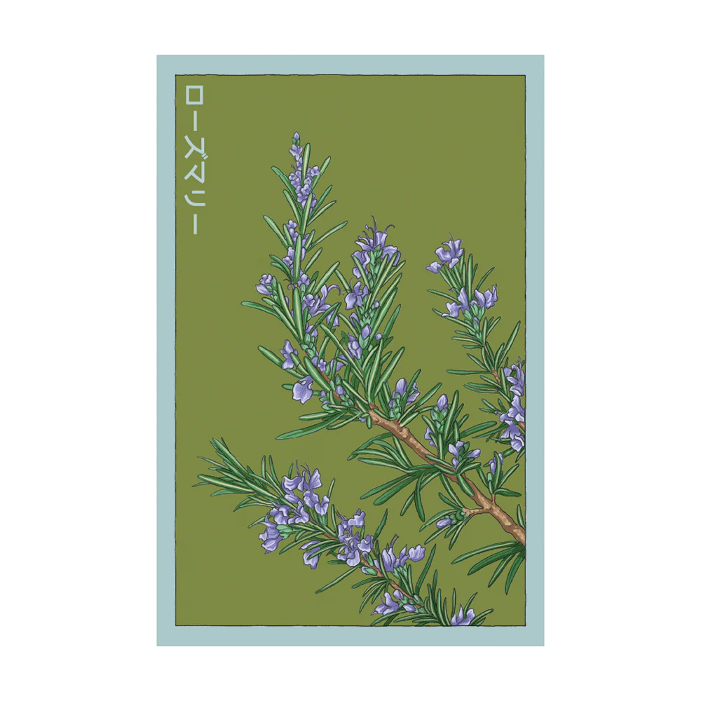 Shido Seeds Rosemary Herb Growing Packet