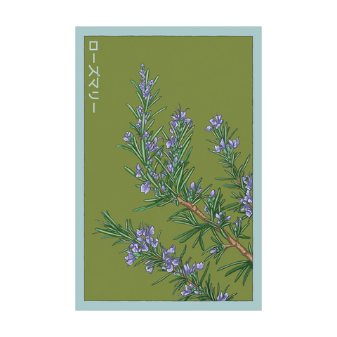 Shido Seeds Rosemary Herb Growing Packet