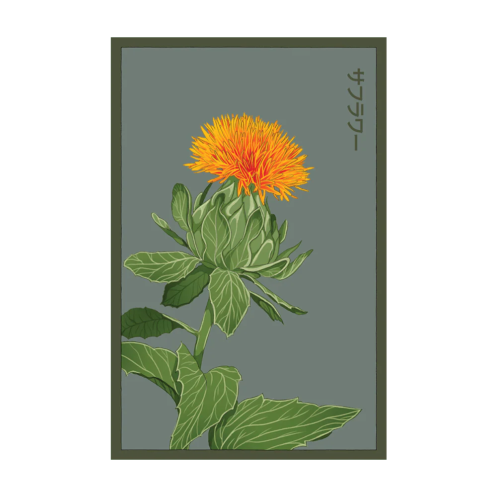 Shido Seeds Safflower Seeds Packet