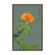 Shido Seeds Safflower Seeds Packet