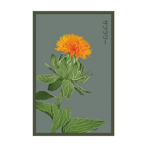 Shido Seeds Safflower Seeds Packet