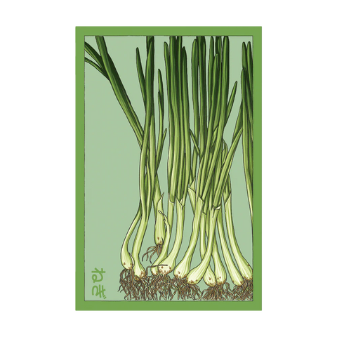 Shido Seeds Scallions Vegetable Seeds Packet
