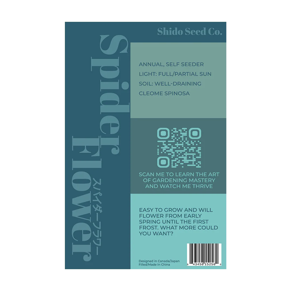 Shido Seeds Spiderflower Seeds