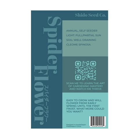 Shido Seeds Spiderflower Seeds