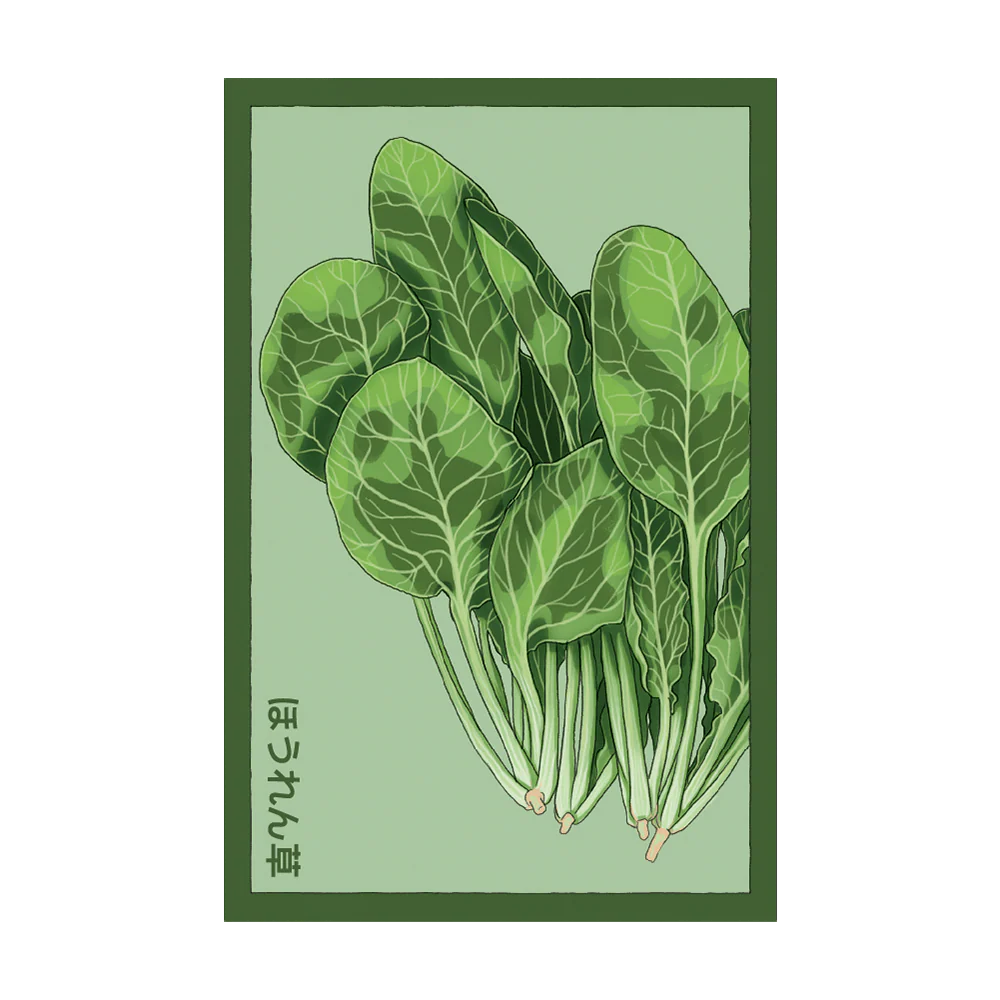 Shido Seeds Spinach Vegetable Plant Seeds