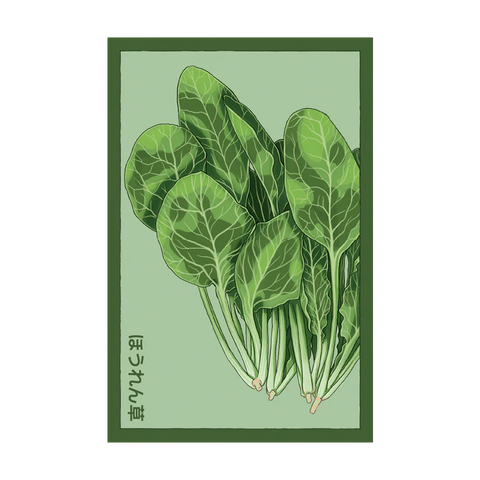 Shido Seeds Spinach Vegetable Plant Seeds