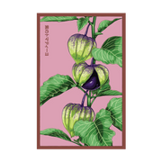 Shido Seeds Sweet Purple Tomatillo Vegetable Seeds Packet
