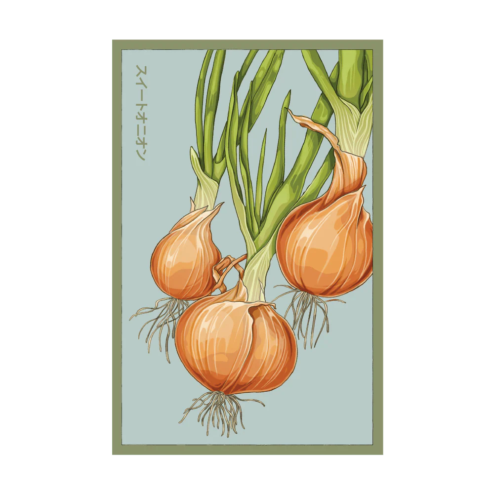 Shido Seeds Texas Super Sweet Onion Vegetable Seeds