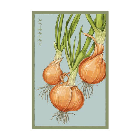 Shido Seeds Texas Super Sweet Onion Vegetable Seeds