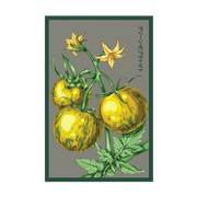 Shido Seeds Tomato Green Zebra Vegetable Seeds Packet
