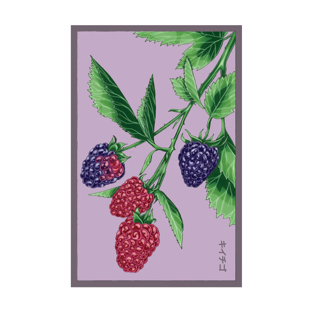 Shido Seeds Tummelberry Flower Seeds Packet