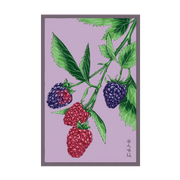 Shido Seeds Tummelberry Flower Seeds Packet