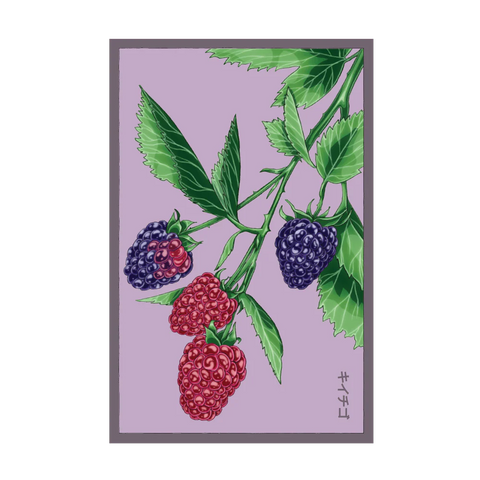 Shido Seeds Tummelberry Flower Seeds Packet