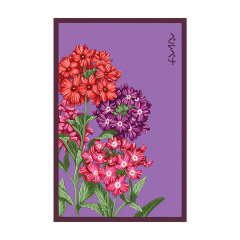 Shido Seeds Verbena Flower Seed Packet