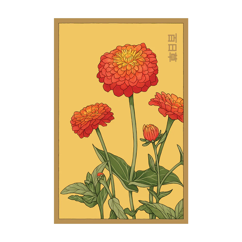 Shido Seeds Zinnia Flower Seeds