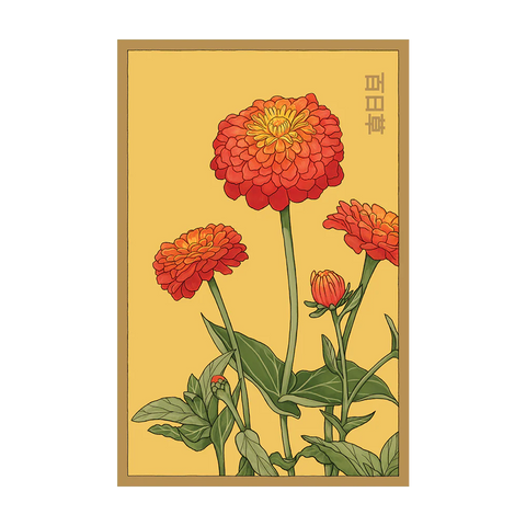 Shido Seeds Zinnia Flower Seeds
