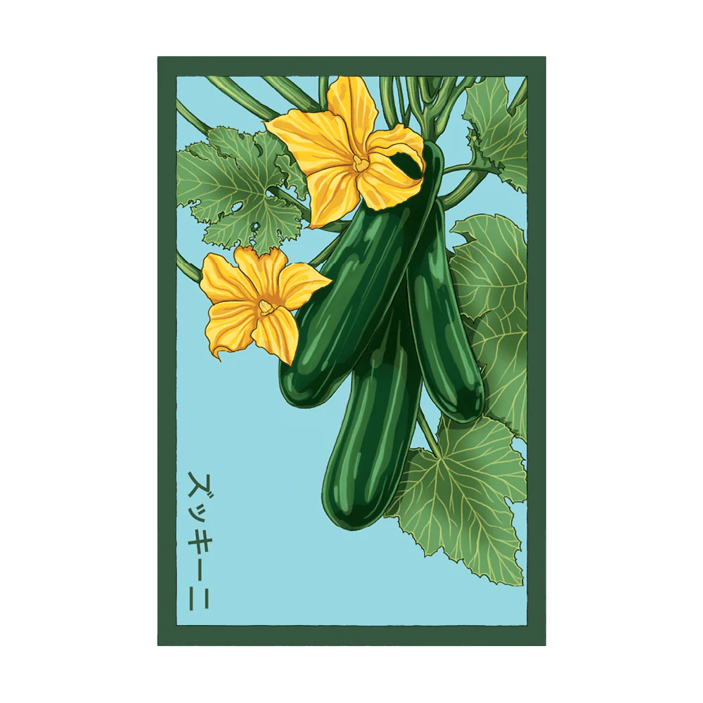 Shido Seeds Zucchini Vegetable Plant Seeds Packet