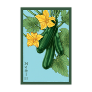 Shido Seeds Zucchini Vegetable Plant Seeds Packet
