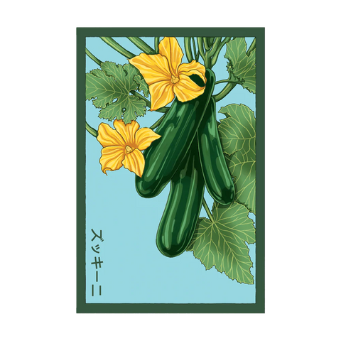Shido Seeds Zucchini Vegetable Plant Seeds Packet