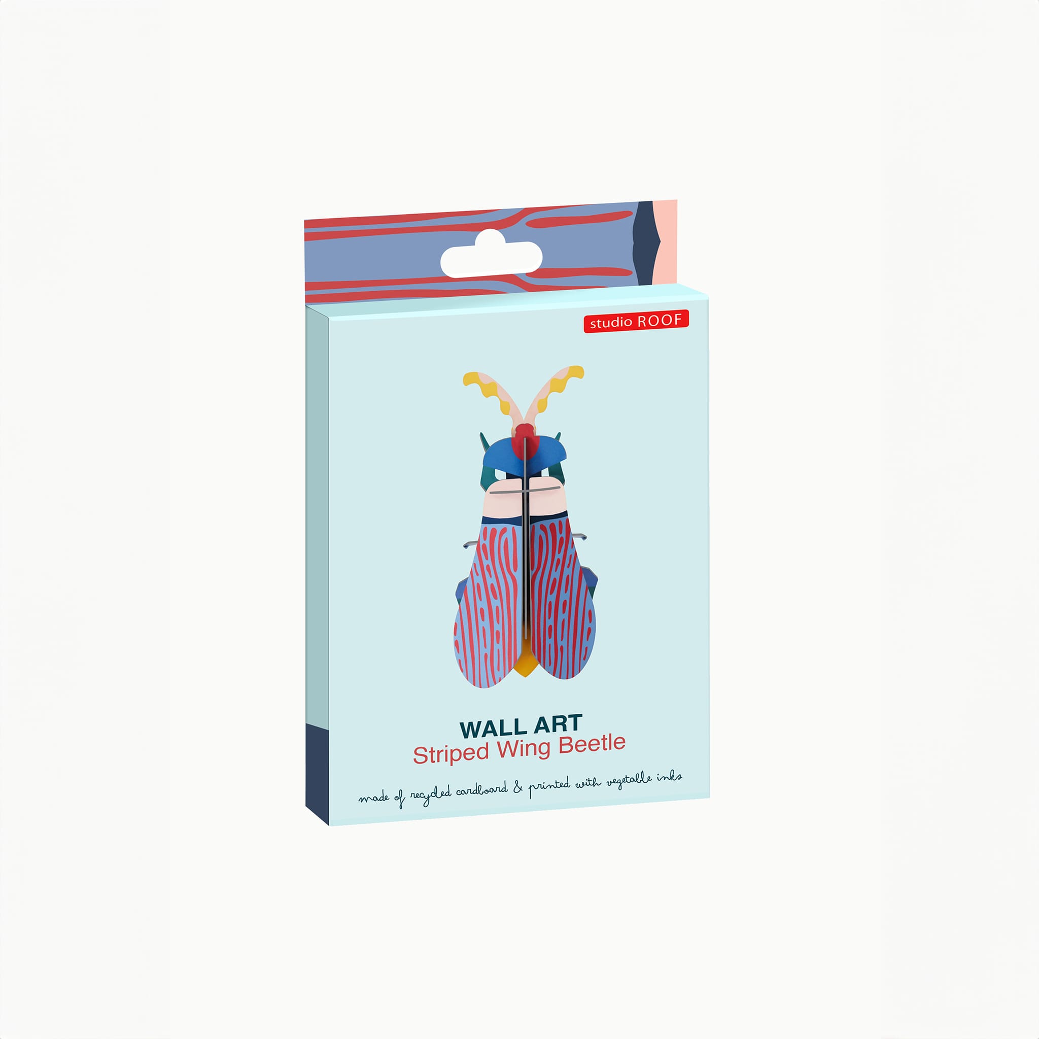 Striped Wing Beetle