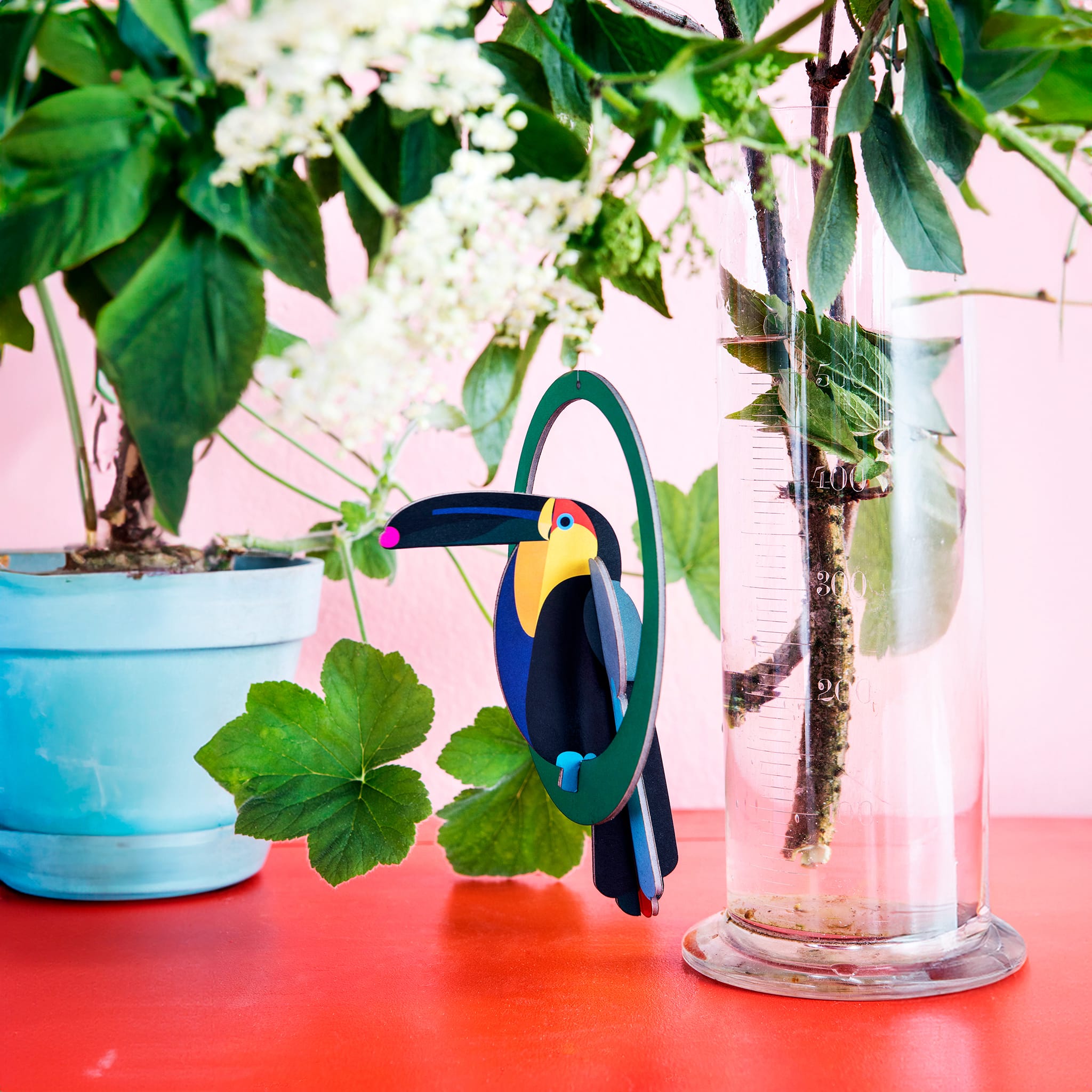 Swinging Toucan