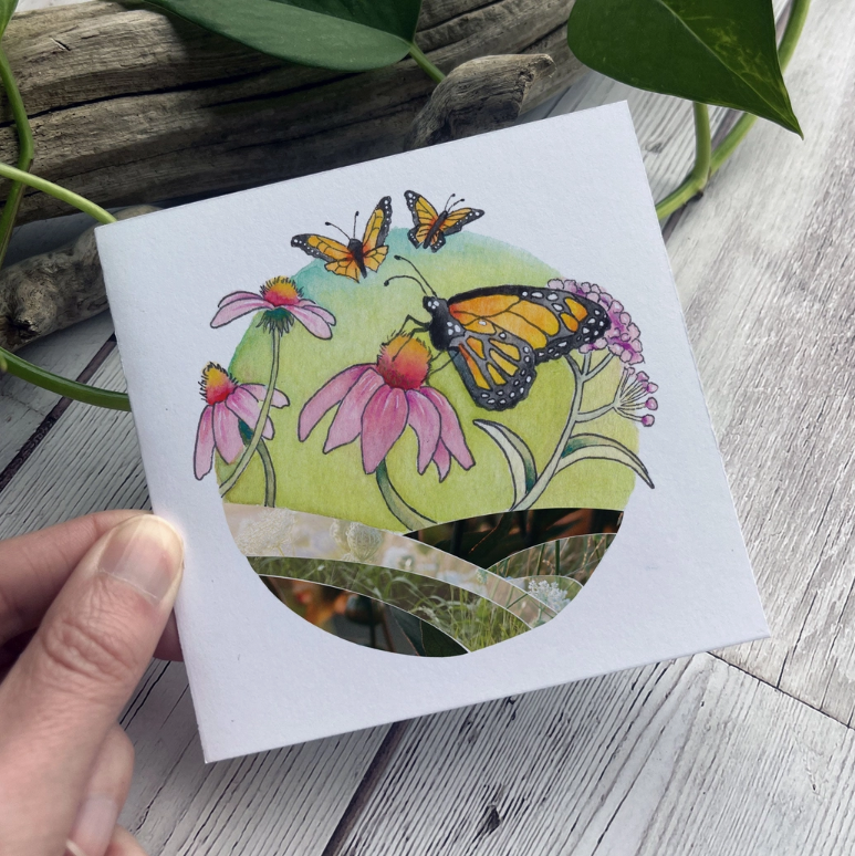 Found & Lost Art Art Notecard Pack Set of 4 - Monarch Butterfly - Art Noise