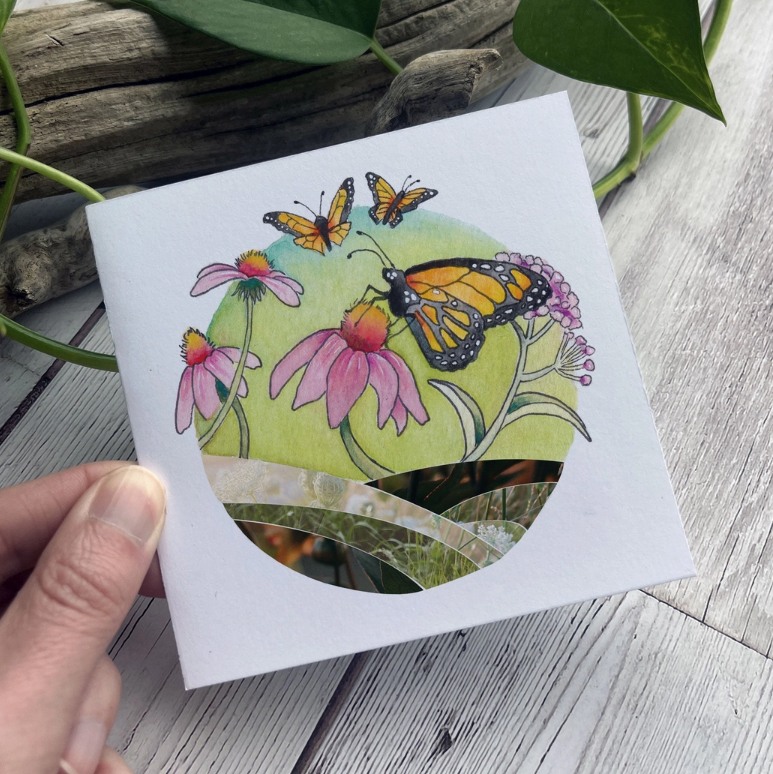 Found & Lost Art Art Notecard Pack Set of 4 - Monarch Butterfly - Art Noise Found & Lost Art Art Notecard Pack Set of 4 - Monarch Butterfly Found & Lost Art Blank Cards art-noise.myshopify.com found-lost-art-art-notecard-pack-set-of-4-monarch-butterfly