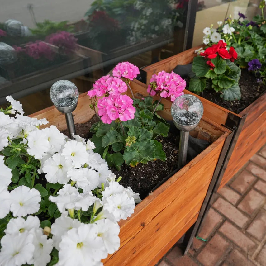 Solar Globe Garden Light - Pack of 2 Cedar Planters product_type art-noise.myshopify.com solar-globe-garden-light-pack-of-2 Solar Globe Garden Light - Pack of 2 Cedar Planters  art-noise.myshopify.com solar-globe-garden-light-pack-of-2