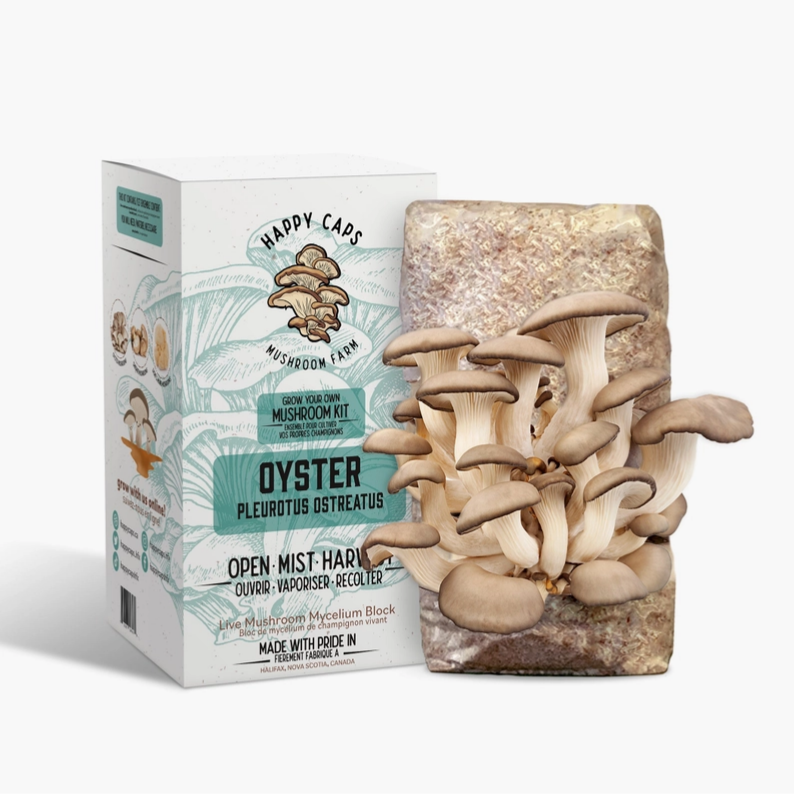 Happy Caps - Mushroom Growing Kits