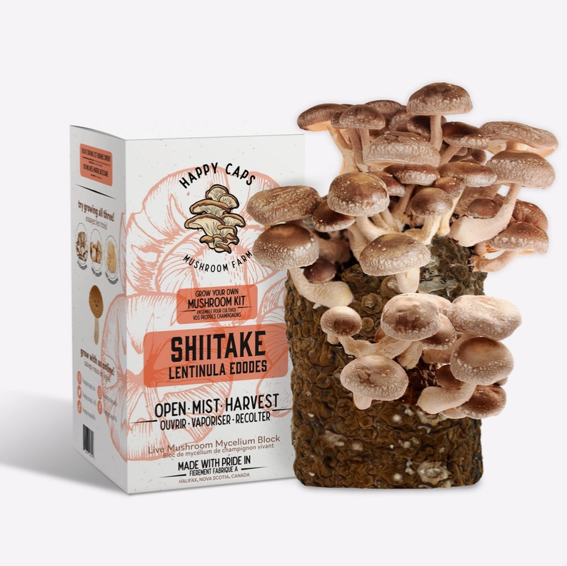 Happy Caps - Mushroom Growing Kits