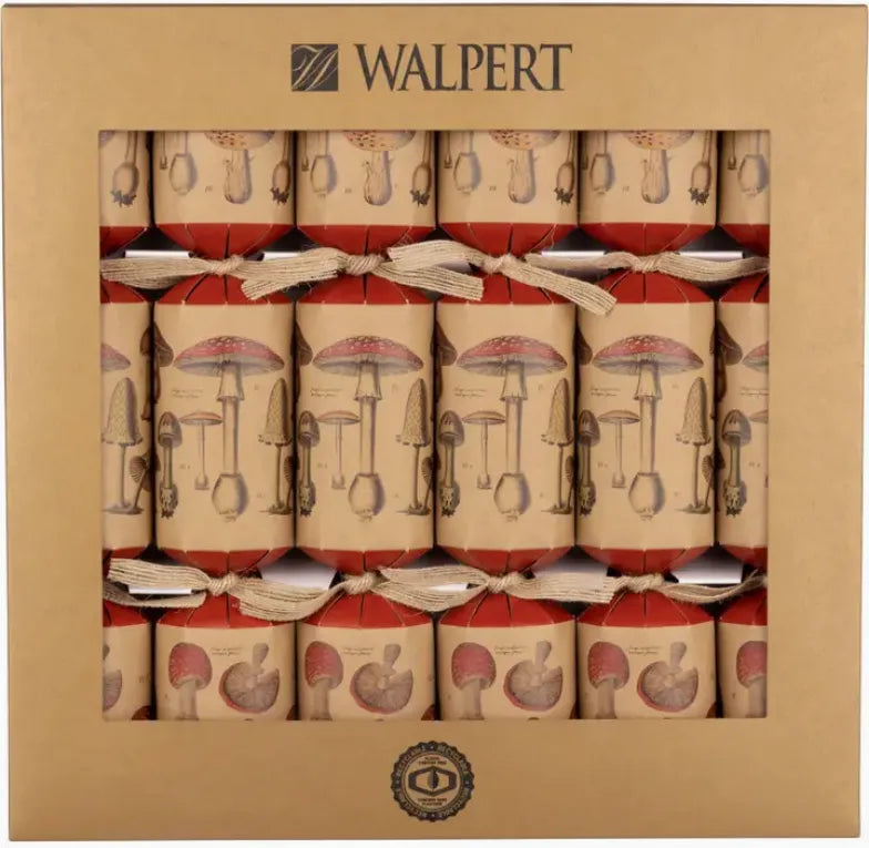 ECO Christmas Crackers - Vintage Mushrooms Silver Tree Home & Holiday product_type art-noise.myshopify.com eco-christmas-crackers-vintage-mushrooms ECO Christmas Crackers - Vintage Mushrooms Silver Tree Home & Holiday  art-noise.myshopify.com eco-christmas-crackers-vintage-mushrooms