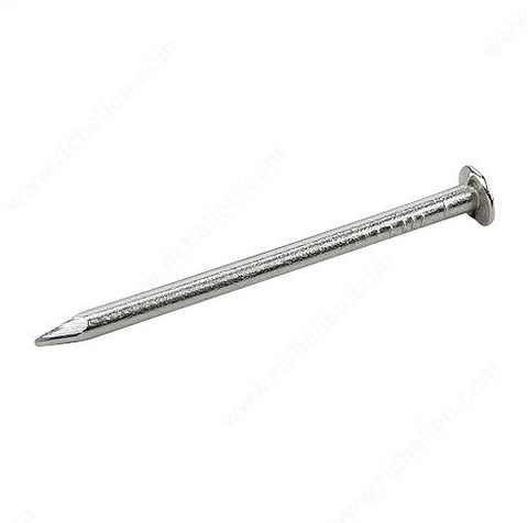 Metal nail on a white background