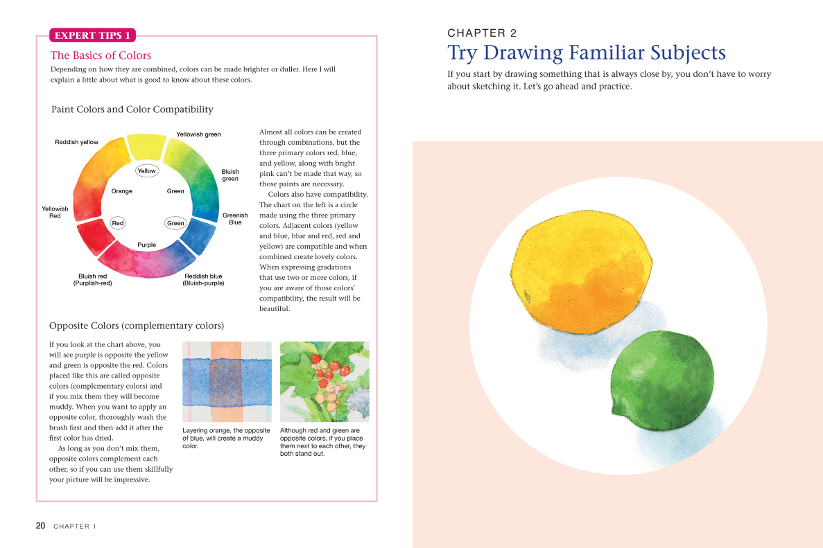 A Beginner's Guide to Watercolour Painting Tuttle How-to Books art-noise.myshopify.com a-beginners-guide-to-watercolour-painting