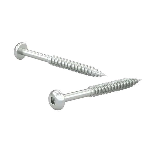 Two metal screws on a white background