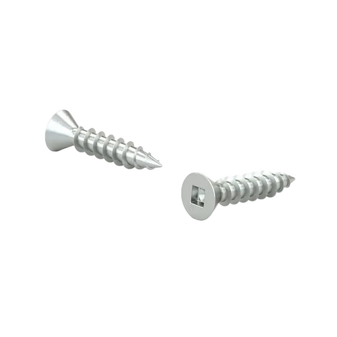 Two metal screws on a white background