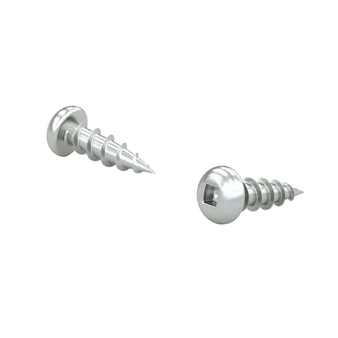 Two metal screws on a white background